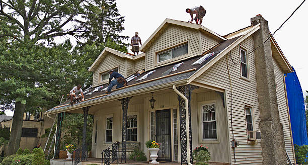 Best Local Roofing Companies  in Anahola, HI